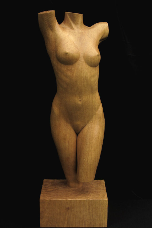 Torso #4, houten beeld / wood sculpture by Leo Pruijt, NL, b
