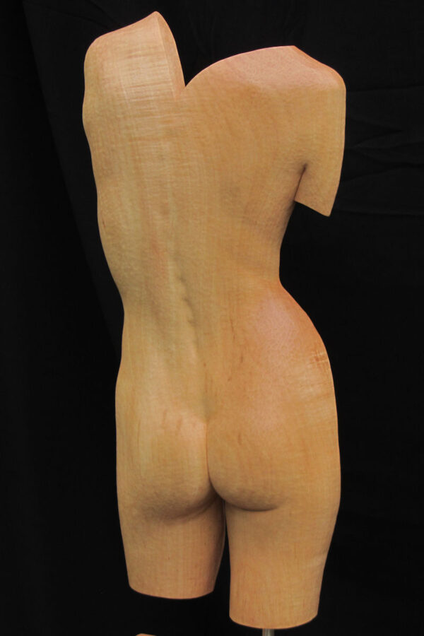 torsoinrelief1, houten beeld / wood sculpture by leo pruijt nl c