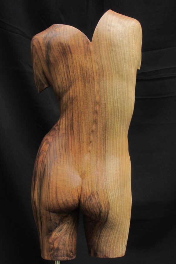 torsoinrelief2, houten beeld / wood sculpture by leo pruijt nl a