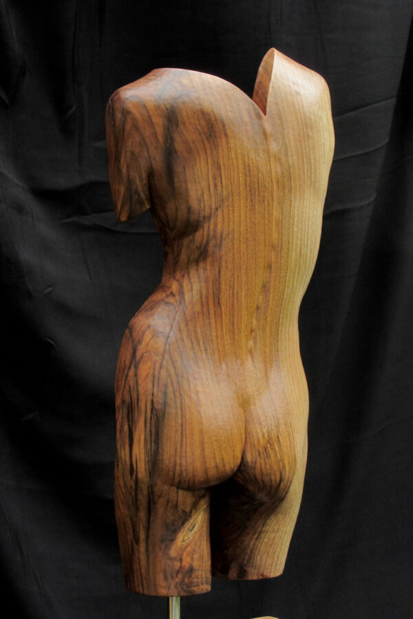 torsoinrelief2, houten beeld / wood sculpture by leo pruijt nl c 2